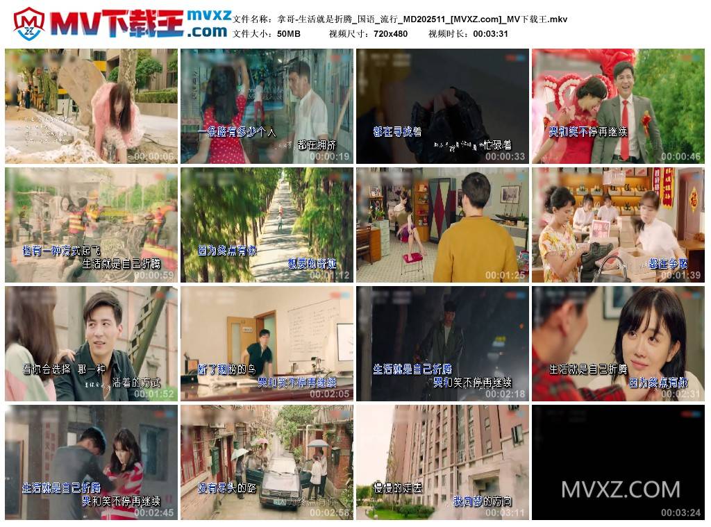 拿哥-生活就是折腾_国语_流行_MD202511